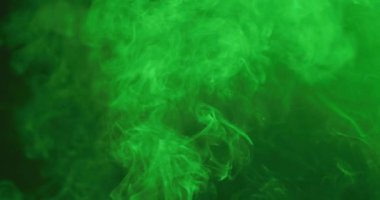 Video of white smoke with green light moving on black background. Halloween, autumn, tradition and celebration concept.