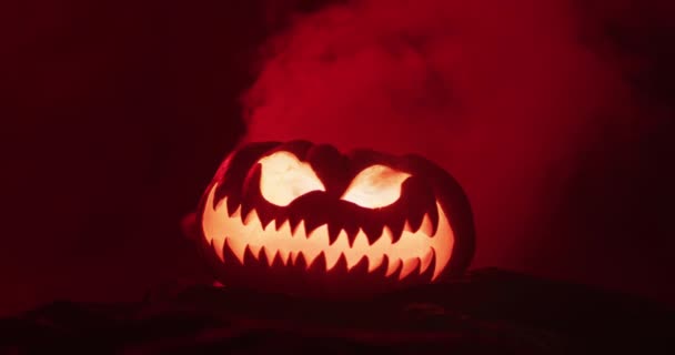 Video Halloween Carved Pumpkin Smoke Red Light Black Background Halloween — Video Stock