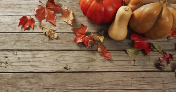 Video Pumpkins Pinecones Autumn Leaves Wooden Background Halloween Autumn Tradition — Stok video