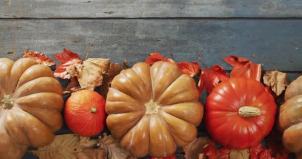 Video Pumpkins Autumn Leaves Wooden Background Halloween Autumn Tradition Celebration — Stockvideo