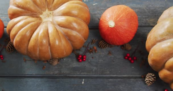 Video Pumpkins Pinecones Rowanberries Wooden Background Halloween Autumn Tradition Celebration — Stockvideo