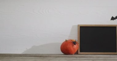 Video of frame with copy space, halloween decorations and pumpkin on white background. Halloween, autumn, tradition and celebration concept.