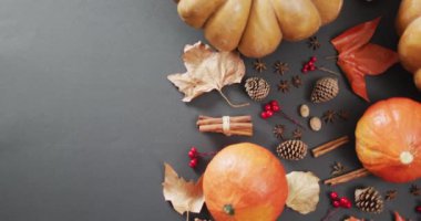 Video of pumpkins with autumn leaves, pinecones and spices on black background. Halloween, autumn, tradition and celebration concept.