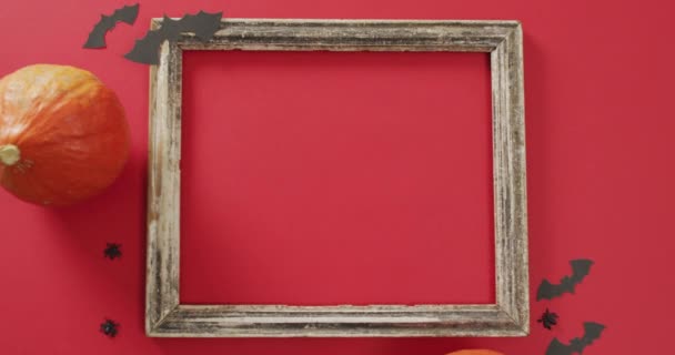 Video Frame Copy Space Halloween Decorations Pumpkin Red Background Halloween — Stockvideo