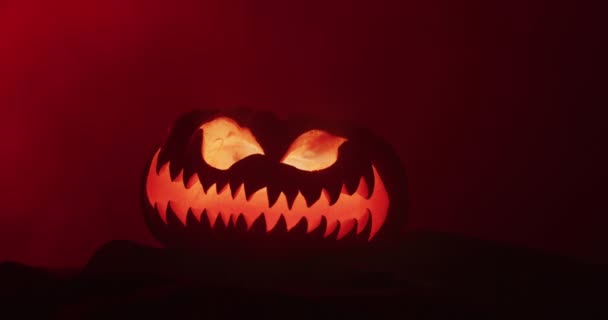 Video Halloween Carved Pumpkin Smoke Red Light Black Background Halloween — Video Stock