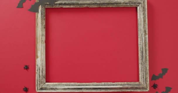 Video Frame Copy Space Halloween Decorations Red Background Halloween Autumn — Stock video