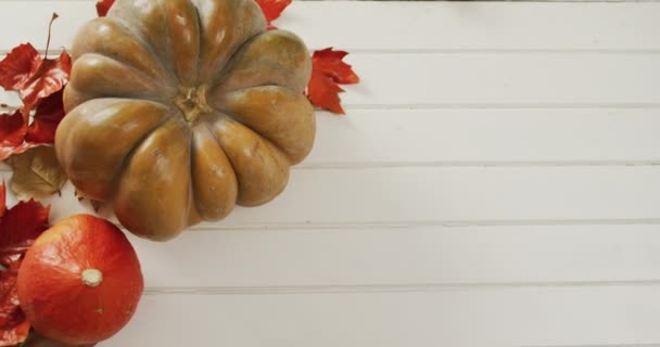 Video Pumpkins Autumn Leaves White Background Halloween Autumn Tradition Celebration — Stockvideo