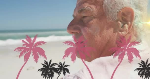 Animazione Palme Anziani Caucasici Sulla Spiaggia Giorno Internazionale Concetto Persone — Video Stock