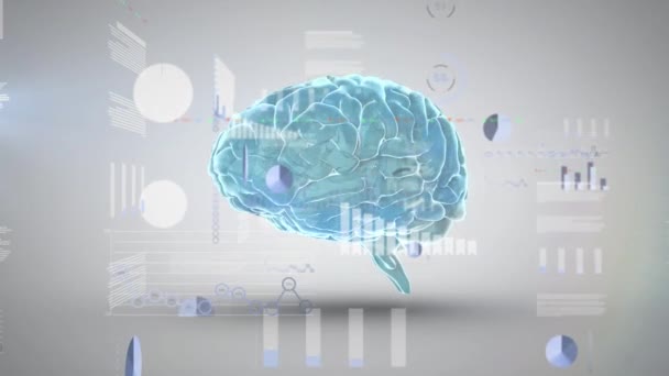 Animation Data Processing Human Brain Graphs Charts Digital Interface Digital — Wideo stockowe