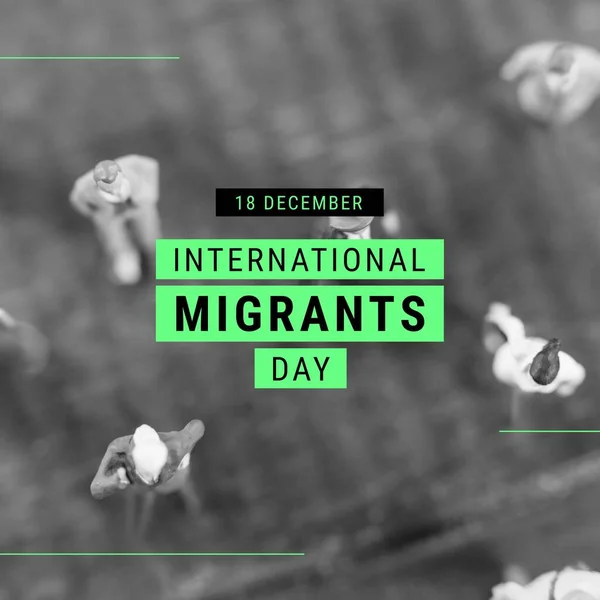 Composition International Migrants Day Text Diverse People Figurines International Migrants — Stockfoto