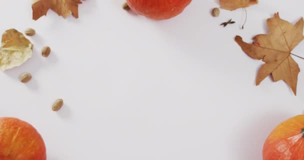Відео Гарбузів Жолудями Осіннім Листям Білому Тлі Хеллоуїн Осінь Традиції — стокове відео