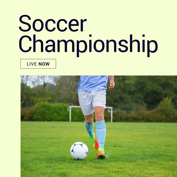 Composition Soccer Championship Text Caucasian Male Football Player Pitch Soccer — Zdjęcie stockowe
