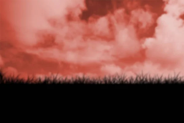 Silhouette Field Cloudy Sky — Stockfoto