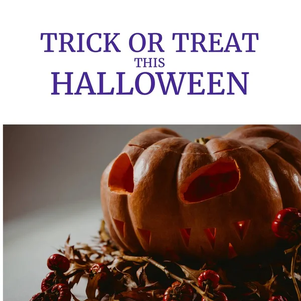 Composition Trick Treat Halloween Text Pumpkin Leaves White Background Halloween — Foto Stock