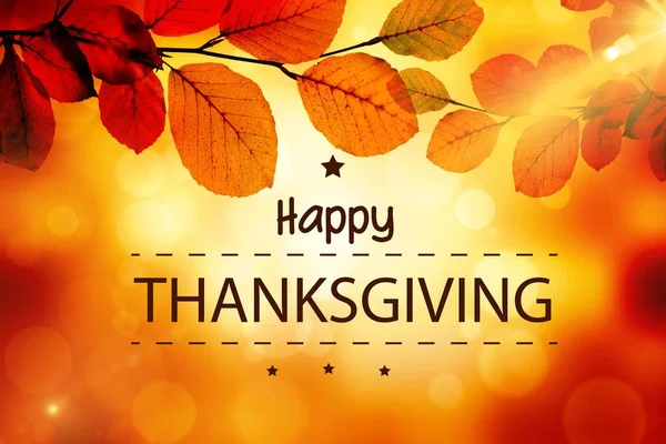 Digitally Generated Image Thanksgiving Text Illuminated Background — Stockfoto