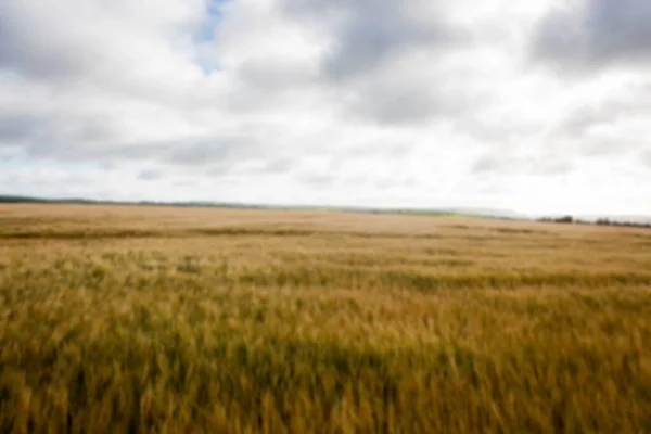 Idyllic View Agriculture Land Sky — Stockfoto