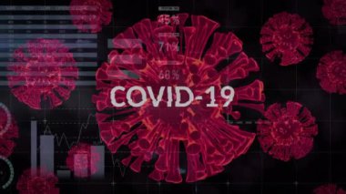 Animation of text covid infection with rising falling covid cells and data processing on interface. Coronavirus pandemic concept.