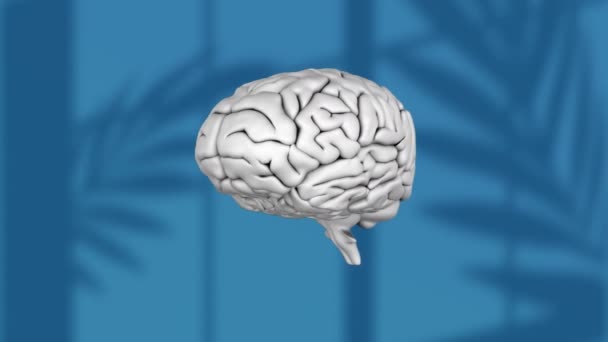 Human Brain Icon Spinning Leaves Shadow Effect Blue Background Mental — 图库视频影像