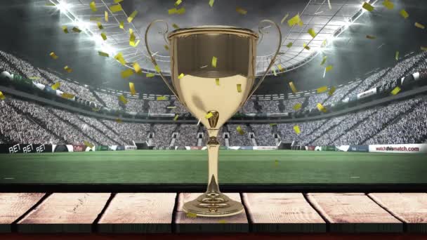 Animation Confetti Falling Gold Cup Rugby Field Sports Stadium Sports — Video