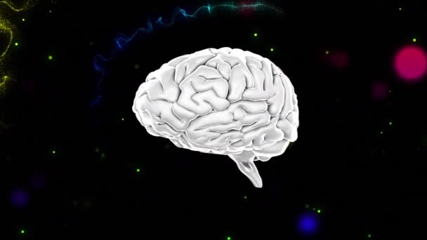 Human Brain Icon Spinning Colorful Spots Light Digital Waves Black — 图库视频影像