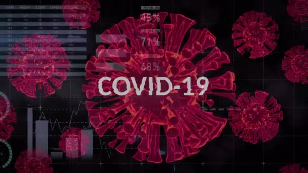 Animation Text Covid Infection Rising Falling Covid Cells Data Processing — Stock Video