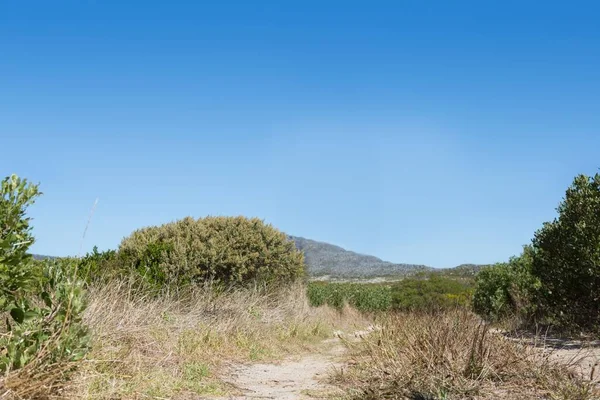 Bergpfad Bei Tag — Stockfoto