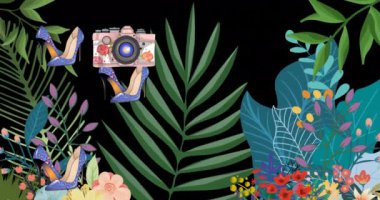Multiple digital camera and female shoes icons floating against leaves on black background. world photo day awareness concept