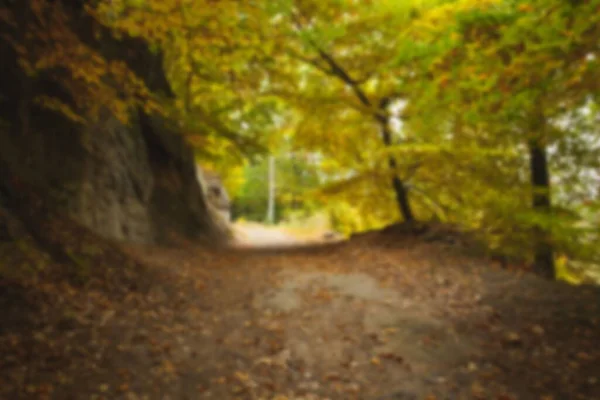 Empty footpath by autumn trees in forest