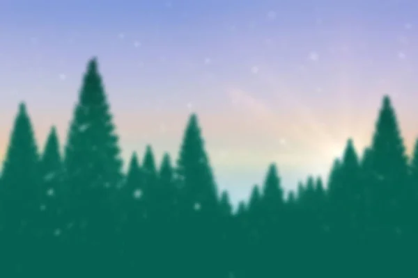 Blurred Fir Tree Forest — Stock Fotó