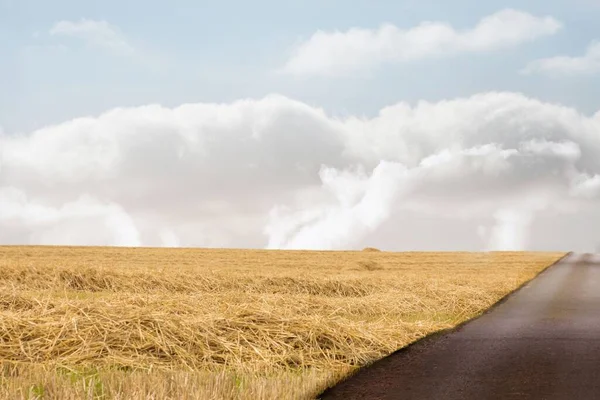 Camino Que Conduce Horizonte — Foto de Stock