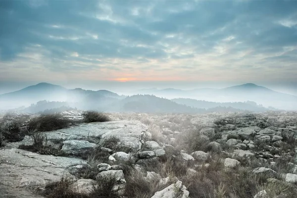 Serene landscape in the mist