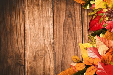 Tahtadaki sonbahar yaprakları