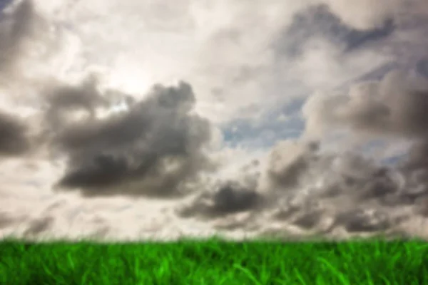 Grassy Field Overcast Sky — Foto de Stock