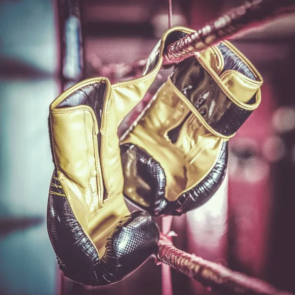 Close Boxing Gloves Rope — Stock Photo, Image