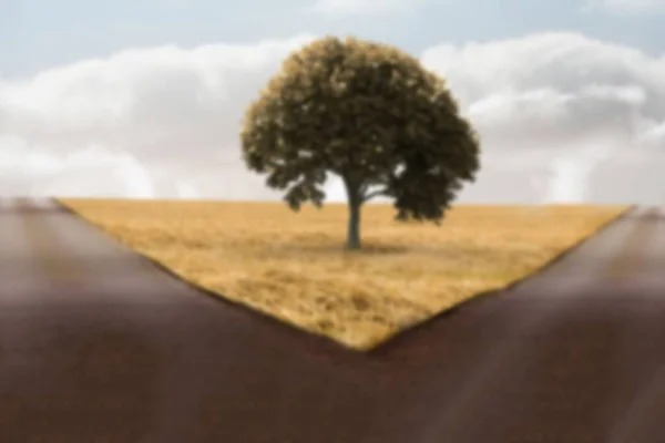 Tree Yellow Grass Field Centre Forked Road Cloudy Sky — Stock Photo, Image