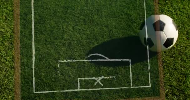 在足球和哨子上飘落的金冠动画 体育和比赛概念 — 图库视频影像