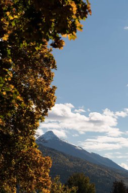 Beautiful mountain and green landscape