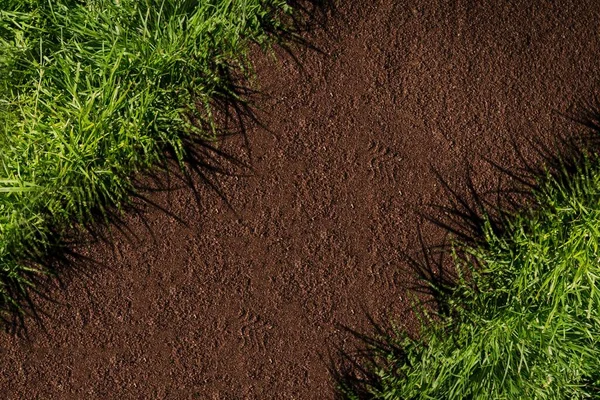 Grass Earth Closeup — Stock Photo, Image