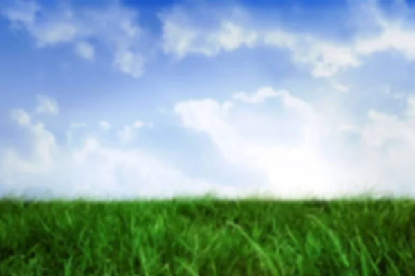 Idyllic Shot Grassy Field Sky — Stock Fotó