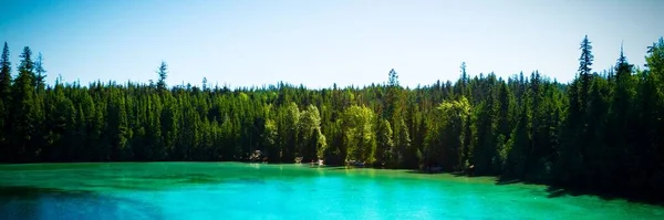 Belo Lago Montanha Floresta — Fotografia de Stock