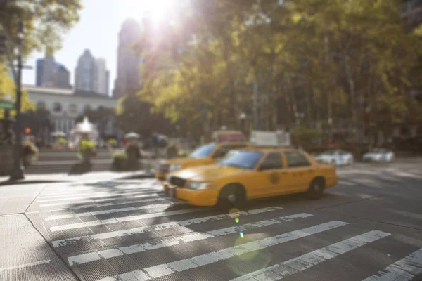 Picture Zebra Crossing — Stock Fotó