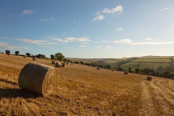 Nature Scenic View Landscape Countryside — Fotografia de Stock