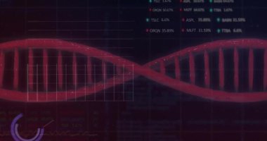 DNA ipliği üzerinde veri işleme animasyonu. küresel iş ve dijital arayüz kavramı dijital olarak oluşturulmuş video.