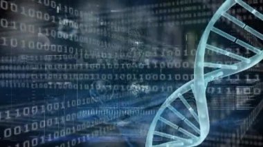 Veri işleme ve ikili kodlama üzerine DNA iplikçiklerinin animasyonu. Küresel bilim araştırmaları ve dijital arayüz konsepti dijital olarak oluşturulmuş video.