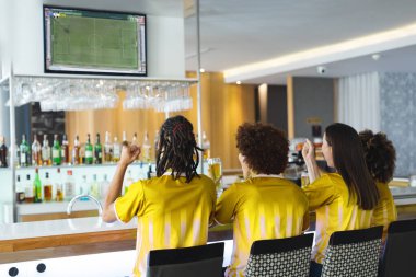 Bir grup arkadaş ayı izleyip, barda birlikte oturuyorlar. Spor, rekabet ve tezahürat.