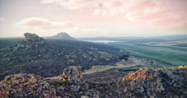 Taşların ve bitkilerin manzarası