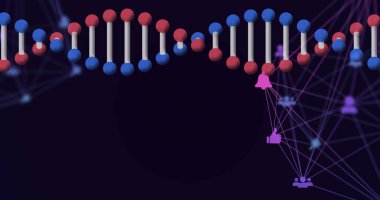 Siyah üzerine bağlı simge ağıyla 3D DNA ipliğini döndürme görüntüsü. küresel tıp bilimi araştırma teknolojisi, dijital veri ve iletişim konsepti, dijital olarak oluşturulmuş görüntü.