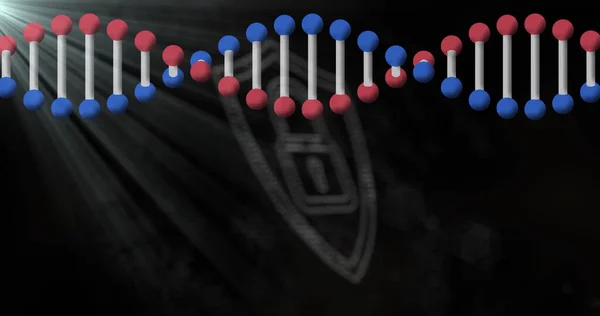 Immagine Filamento Dna Rotante Con Simbolo Del Lucchetto Punto Bianco — Foto Stock