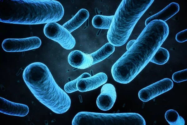 Digital image of blue bacteria in human body