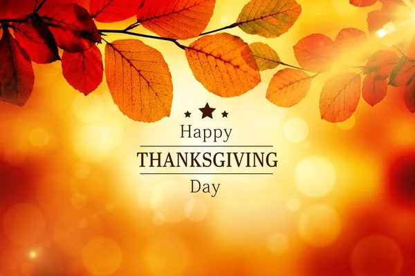 Digital Zusammengesetztes Bild Des Thanksgiving Textes Vor Beleuchtetem Hintergrund — Stockfoto
